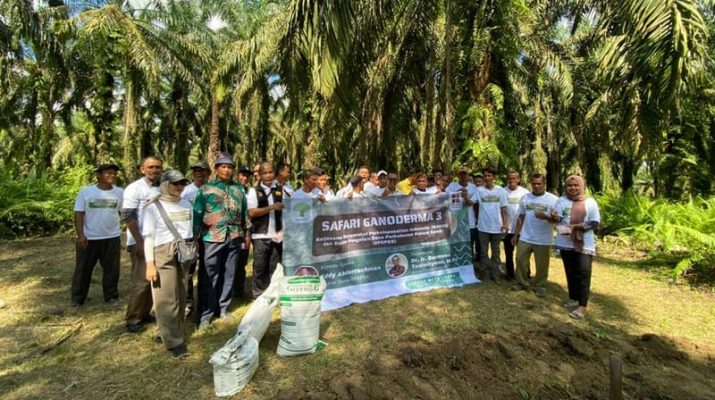 Gerakan Pengendalian Ganoderma tidak Bisa Dilakukan Sporadis