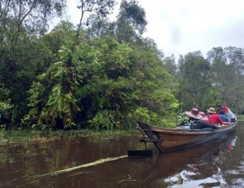 Pertamina Dampingi 13 Kelompok Usaha Perhutanan Sosial