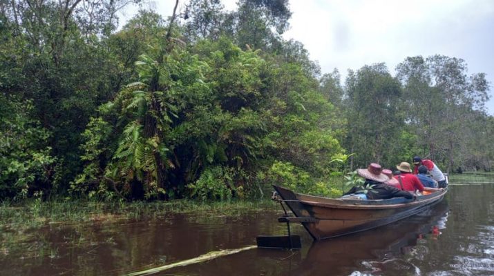 Pertamina Dampingi 13 Kelompok Usaha Perhutanan Sosial