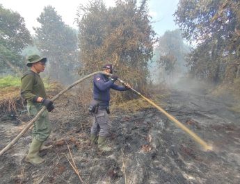 Karhutla Terjadi di Tiga Kabupaten di Jawa Barat