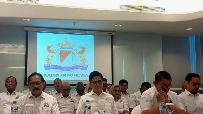 Ekonom: Kadin Sarat Konflik Kepentingan dengan Pemerinta