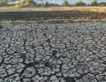 Dua Bulan Tidak Hujan, 38 Daerah di Tujuh Provinsi Alami Kekeringan Ekstrem