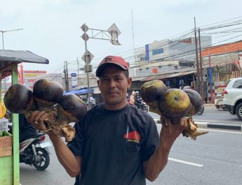 9 Manfaat Buah Lontar bagi Kesehatan, Baik untuk Ginjal