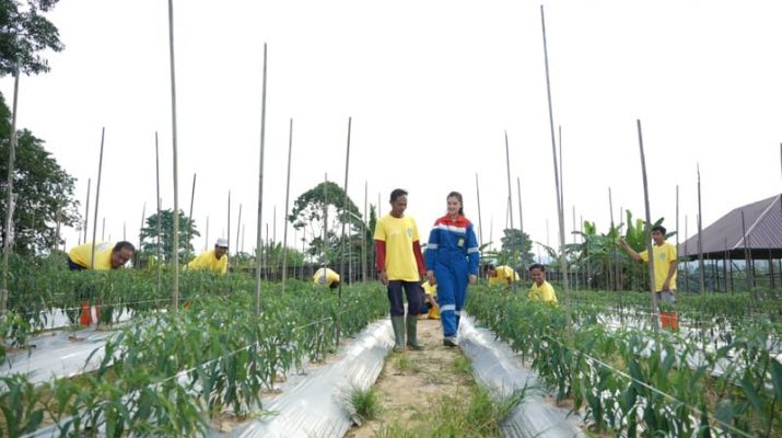 Pertamina Gas Inisiasi Program Permata Borneo untuk Pulihkan Hutan Kalimantan