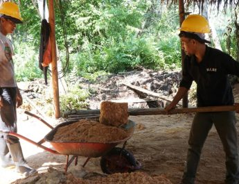 Libatkan 1,25 Juta Masyarakat Dalam Rantai Pasok, PLN EPI Targetkan Pemanfaatan 2 Juta Ton Biomassa