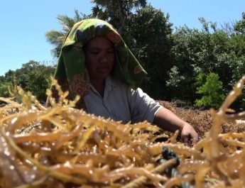 Penurunan Bunga The Fed Dorong Perbaikan Ekonomi Negara Berkembang