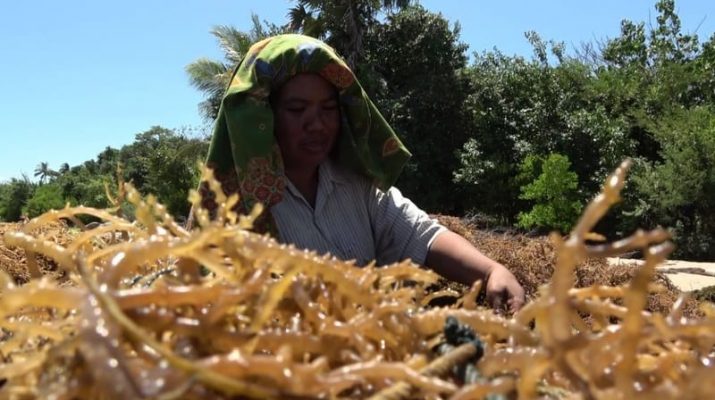 Penurunan Bunga The Fed Dorong Perbaikan Ekonomi Negara Berkembang