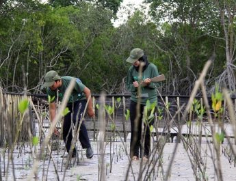 Aturan Turunan UU Konservasi Wajibkan Pemilik Izin Menata Kawasannya