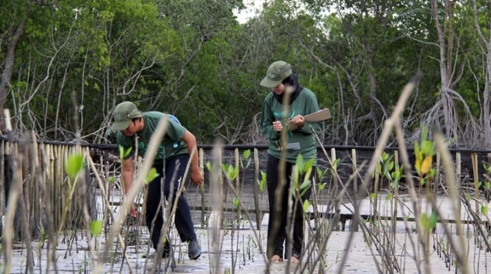 Aturan Turunan UU Konservasi Wajibkan Pemilik Izin Menata Kawasannya