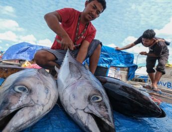 Eks Menkes Sarankan Masyarakat Konsumsi Ikan Langsung Bukan Susu Ikan