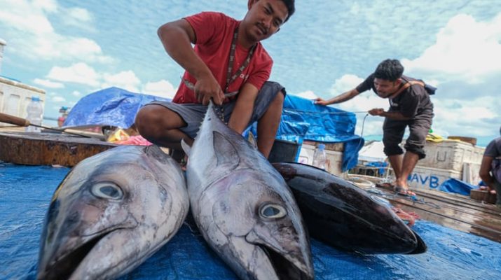 Eks Menkes Sarankan Masyarakat Konsumsi Ikan Langsung Bukan Susu Ikan