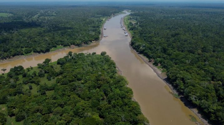 11 Hewan Paling Unik dan Mengerikan di Hutan Amazon