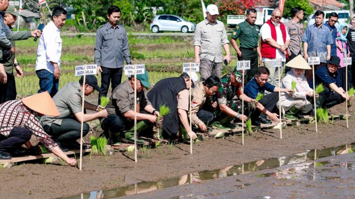 Ciamis Bergiat Laksanakan Gerakan Tanam Padi