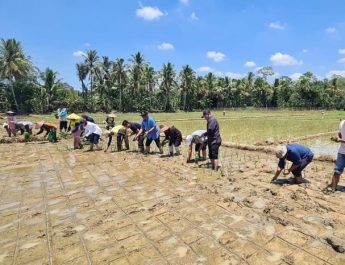 Mentan Genjot Irpom, Panen Berlipat di Pandeglang