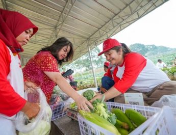 YMPK Gandeng Industri Dukung Program Pencetakan 1.000 Sarjana Pertanian