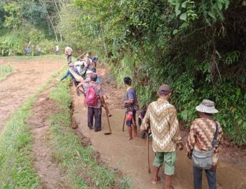 3 Bulan Tanpa Guyuran Hujan, Petani di Cianjur Kelimpungan Atur Pasokan Air