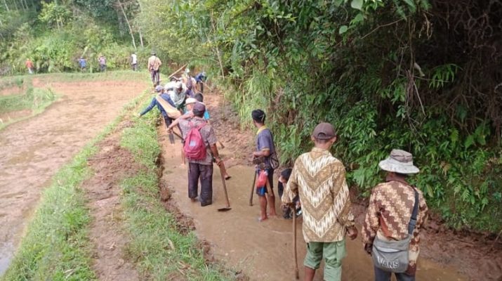 3 Bulan Tanpa Guyuran Hujan, Petani di Cianjur Kelimpungan Atur Pasokan Air