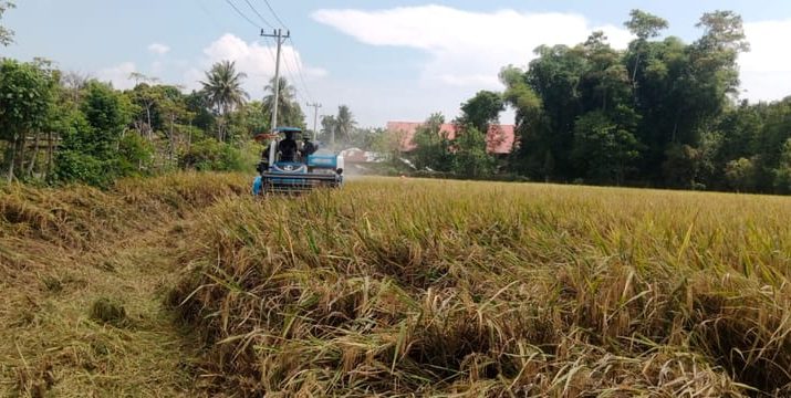 Pemerintahan Baru Ditantang Ubah Arah Politik Pangan Nasional