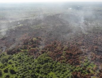 BMKG Ingatkan Waspada Karhutla di Beberapa Wilayah