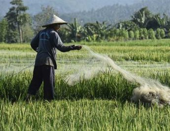 Hari Tani Nasional, Kelahiran UUPA dan Perubahan di Masa Orba