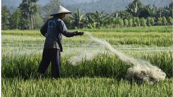 Hari Tani Nasional, Kelahiran UUPA dan Perubahan di Masa Orba