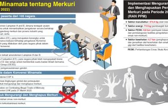 Konvensi Minamata tentang Merkuri