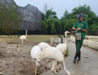 Aviary Park Indonesia Gelar Soft Opening