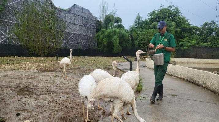 Aviary Park Indonesia Gelar Soft Opening