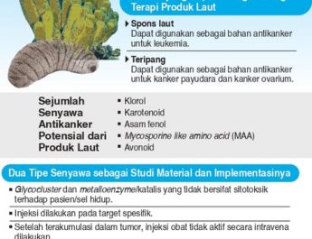 Potensi Produk Laut untuk Atasi Kanker