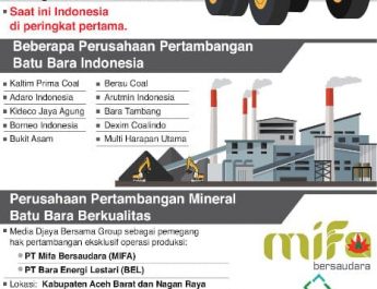 Sektor Pertambangan Mineral di Indonesia