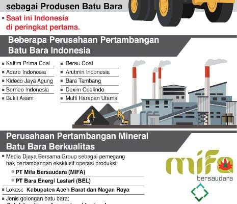 Sektor Pertambangan Mineral di Indonesia