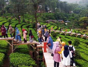 Rekomendasi Wisata di Puncak Bogor, Cocok Dikunjungi saat Liburan dengan Keluarga