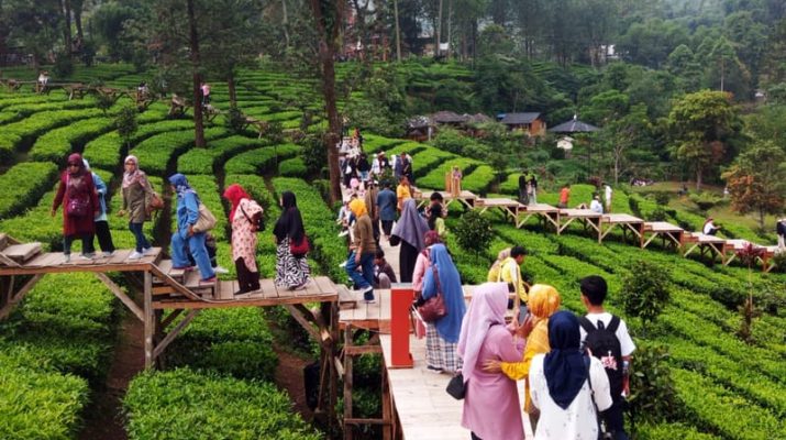 Rekomendasi Wisata di Puncak Bogor, Cocok Dikunjungi saat Liburan dengan Keluarga