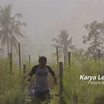 Maksimalkan Lahan Pertanian dengan Hortikultura