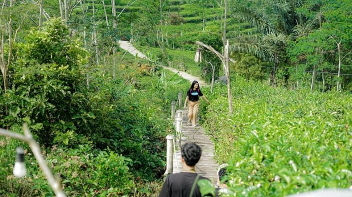 Inovasi dan Kolaborasi Jadi Modal Utama Mempertahankan Eksistensi Destinasi Pariwisata