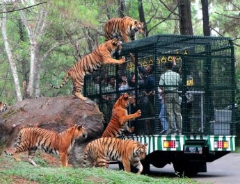 9 Tempat Wisata di Bogor Kekinian Untuk Liburan Akhir Pekan