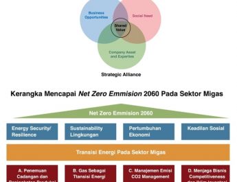 Strategic Alliance Managerial Capabilities dan Pengembangan Kapabilitas Manajerial Berwawasan Lingkungan