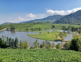 3 Rekomendasi Tempat Wisata di Puncak Bogor, Cocok untuk Healing dengan Keluarga