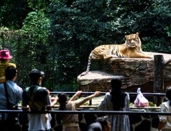 20 Rekomendasi Tempat Wisata di Bandung, Cocok untuk Liburan dengan Keluarga