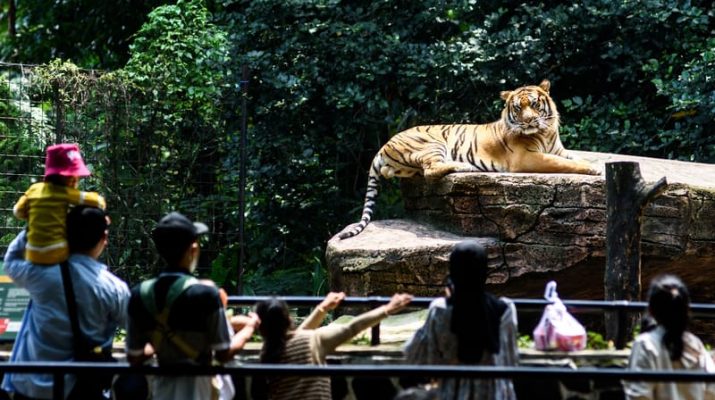 20 Rekomendasi Tempat Wisata di Bandung, Cocok untuk Liburan dengan Keluarga