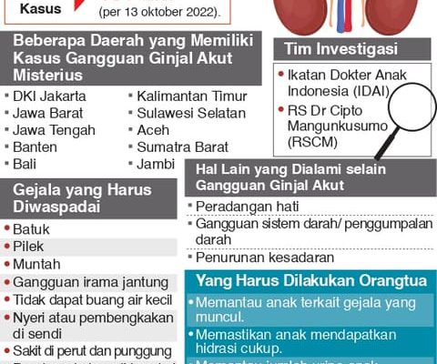 Waspadai Gangguan Ginjal Akut Misterius