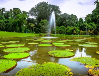 Kebun Raya Bogor, Wisata Alam Terindah di Indonesia