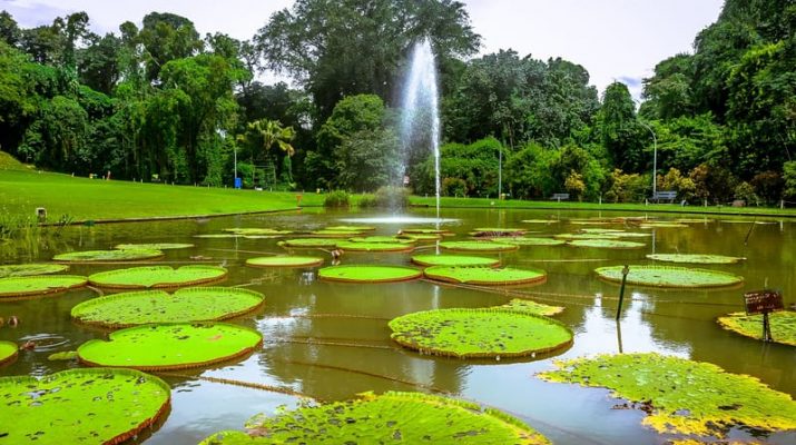 Kebun Raya Bogor, Wisata Alam Terindah di Indonesia