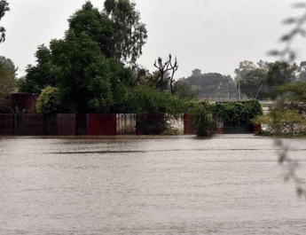 Dikepung Banjir, 80% Hewan di Kebun Binatang Nigeria Tewas