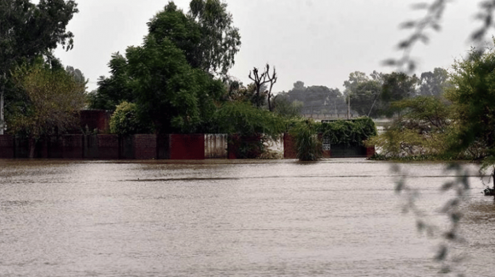 Dikepung Banjir, 80% Hewan di Kebun Binatang Nigeria Tewas