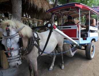 8 Transportasi Unik dan Khas Hanya di Indonesia