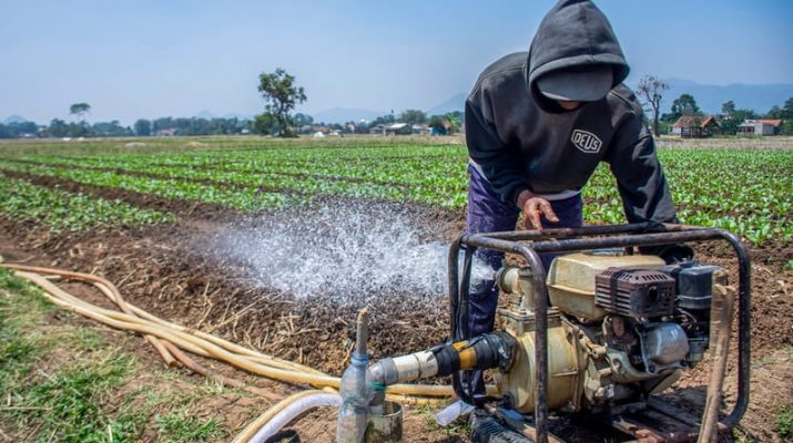 Tantangan Utama Sektor Pertanian Indonesia: Alih Fungsi Lahan hingga Kurangnya Regenerasi Petani