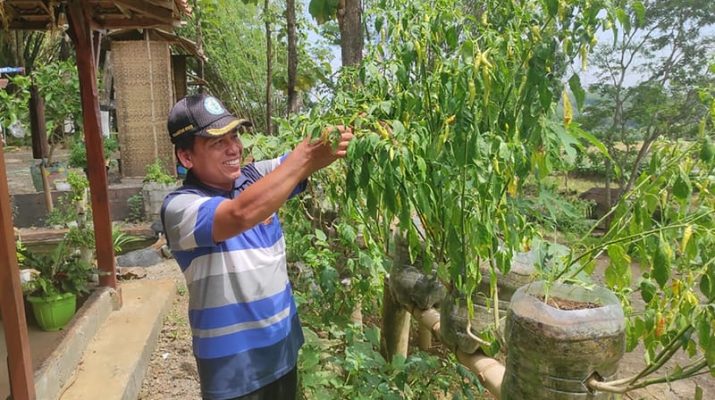 Pertanian Organik: Prinsip, Manfaat, dan Potensi Besar bagi Ketahanan Pangan Indonesia