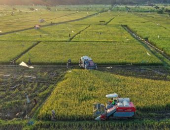 Pertanian Modern di Indonesia: Inovasi, Efisiensi, dan Masa Depan Pangan di Hari Tani Nasional