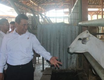 Mentan Amran Sulaiman Undang Investor Vietnam Buka Lahan Peternakan